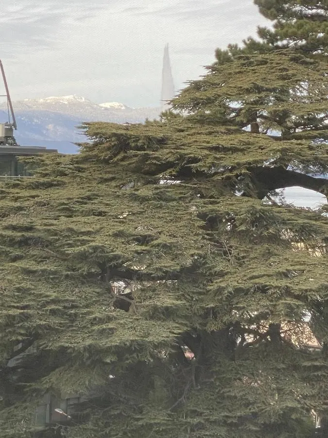 Lägenhet Geneve, Plein Centre,Belle Vue Lac, Splendide Et Grand Appartement