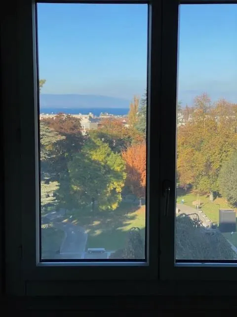 Geneve, Plein Centre,Belle Vue Lac, Splendide Et Grand Appartement Switzerland